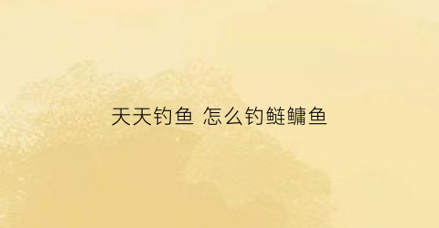 天天钓鱼怎么钓鲢鳙鱼(天天钓大鱼)